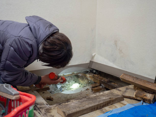 Gregory, SD Mold Removal Pros