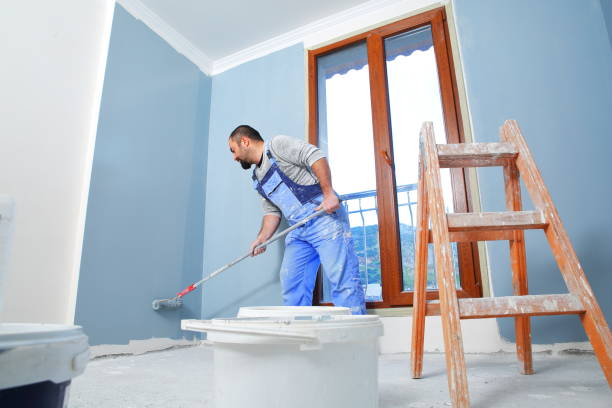 Best Mold Damage Restoration  in Gregory, SD