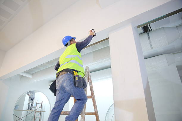Professional Mold Removal in Gregory, SD