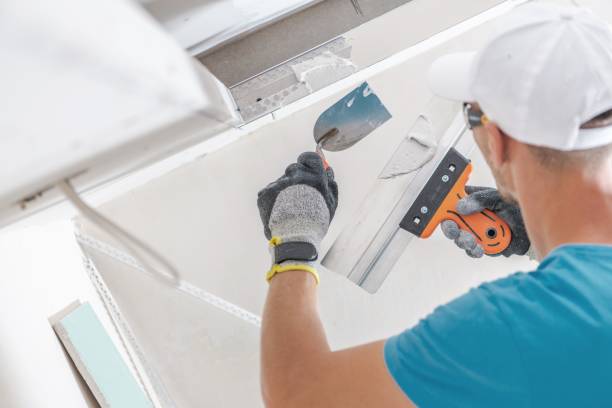 Best Water Damage & Mold Remediation  in Gregory, SD